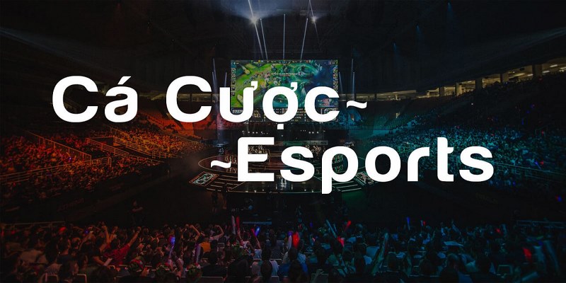 hướng dẫn cá cược Esports