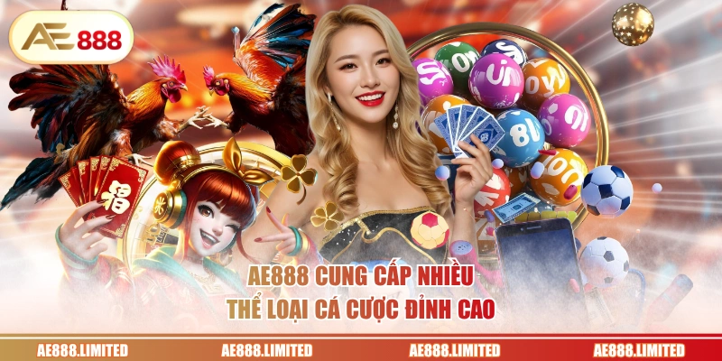 AE888 cung cấp nhiều thể loại cá cược đỉnh cao